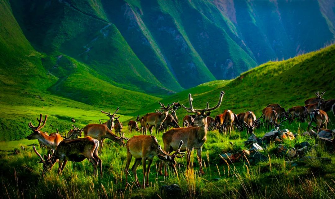 生态图2.jpg 生态图2.jpg